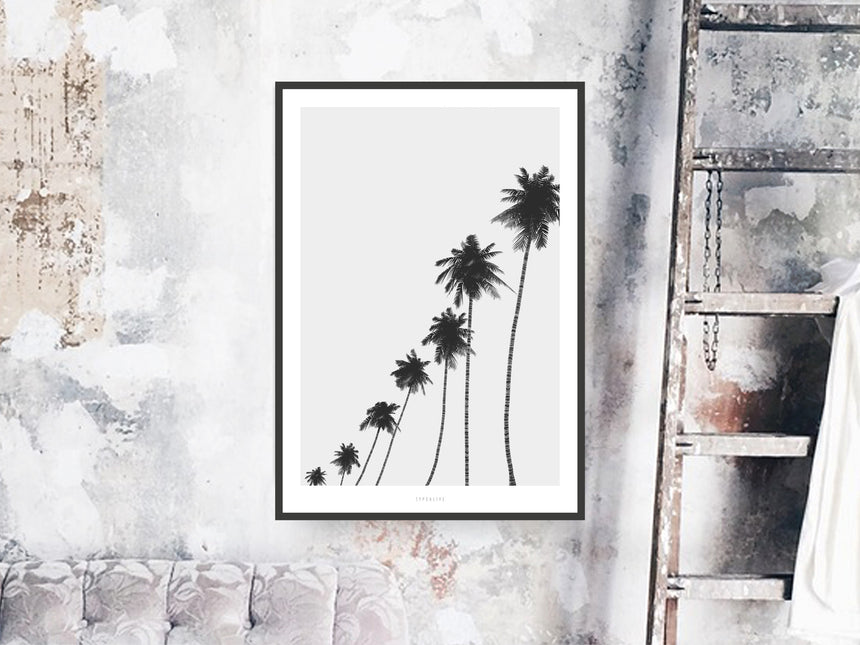 Print / All About Palms No. 6