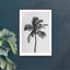 Print / All About Palms No. 9