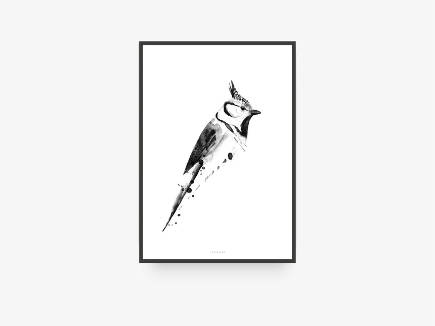 Print / Birdy No. 2