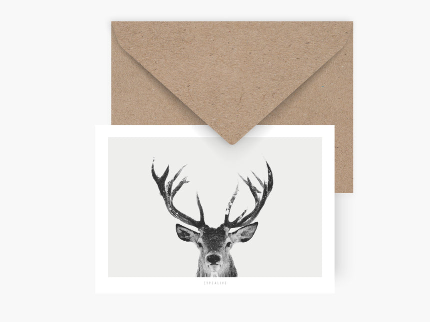 Postcard / Deer No. 1