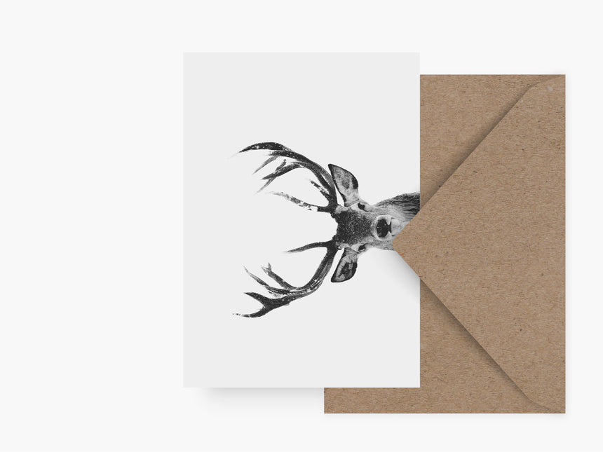 Greeting card / Deer No. 1