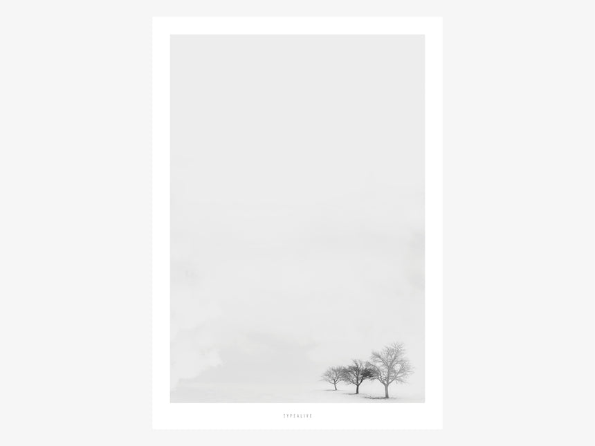 Print / Landscape No. 10