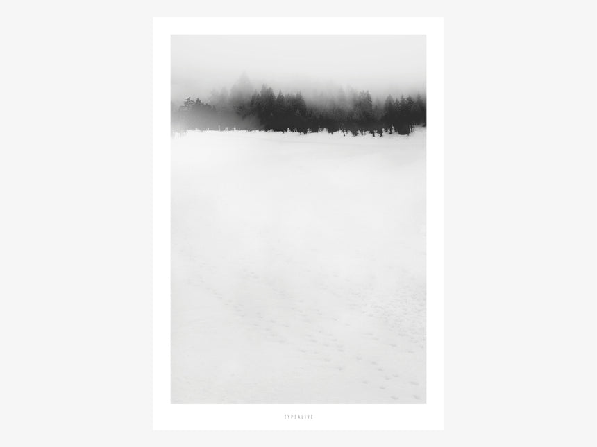 Print / Landscape No. 30