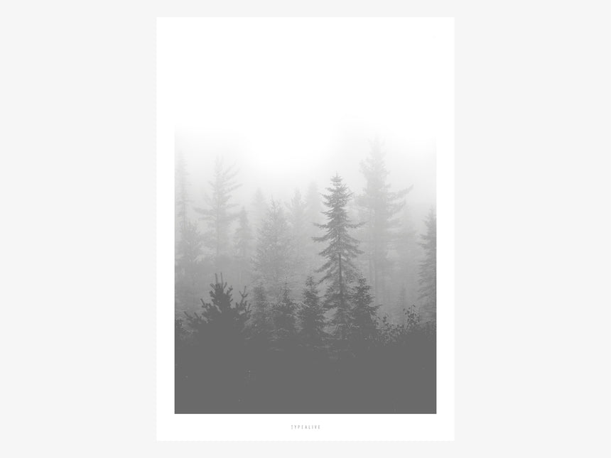 Print / Landscape No. 5