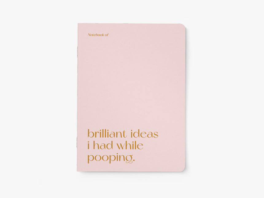 Notebook / Brilliant Pooping