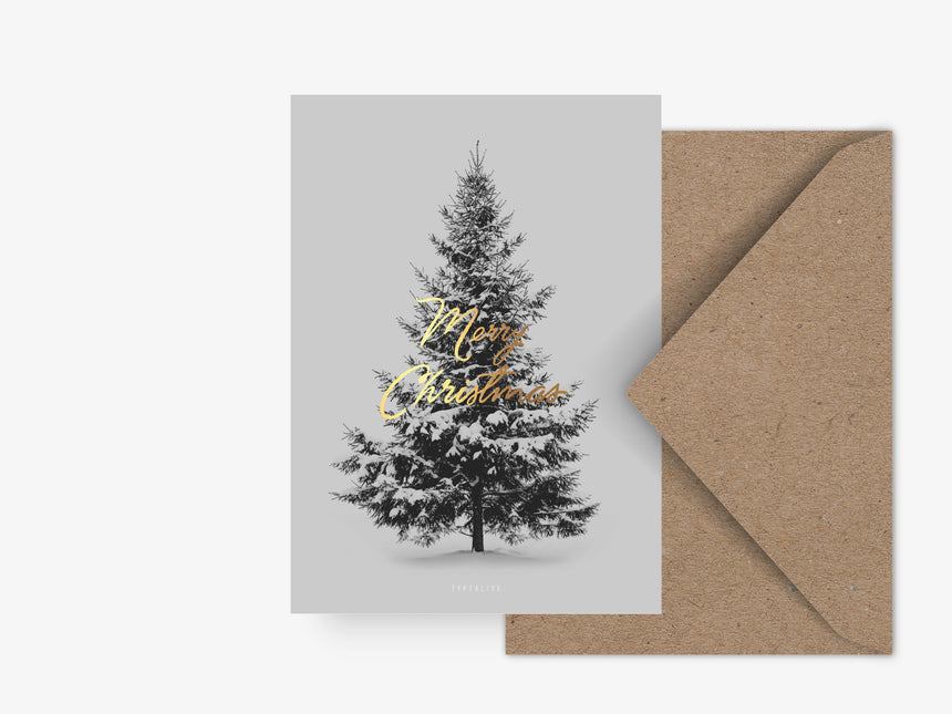 Postcard / Merry Christmas Fir