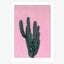 Print / Cactus No. 1