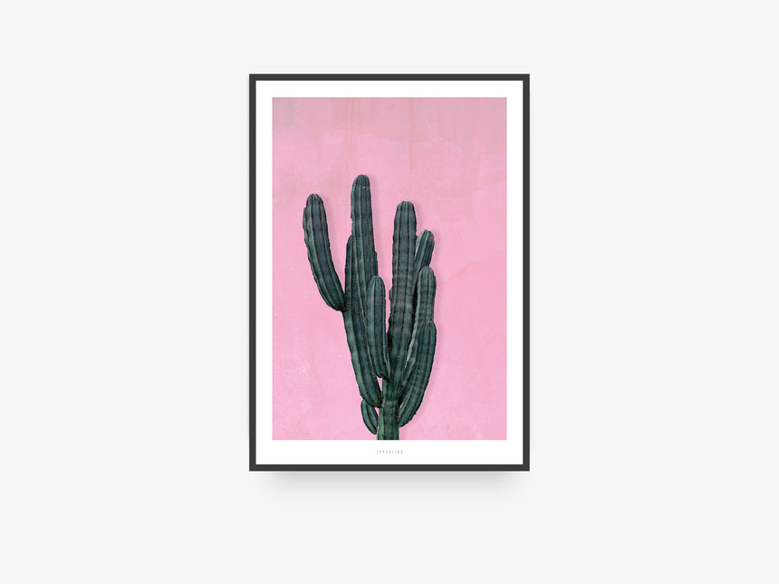 Print / Cactus No. 1
