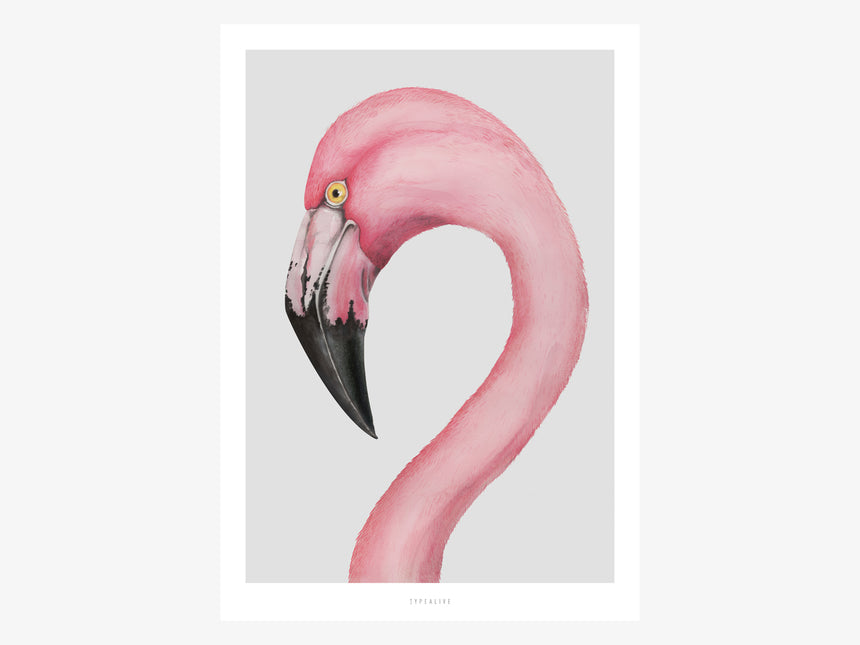 Print / Flamingo