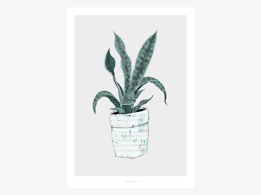 Print / Wall Plant No. 2