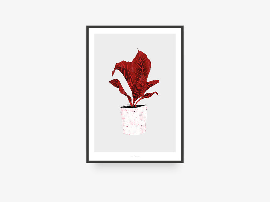 Print / Wall Plant No. 1