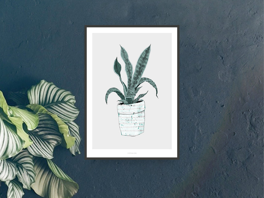Print / Wall Plant No. 2