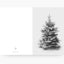 Greeting card / snow fir