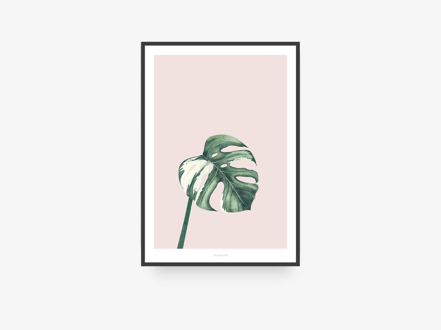 Print / Tropical No. 11