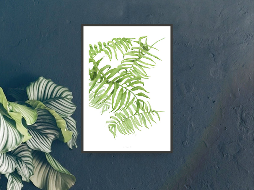 Print / Tropical No. 1