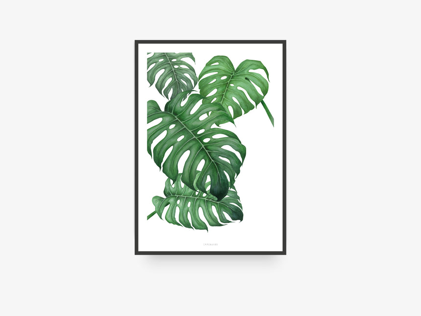 Print / Tropical No. 2