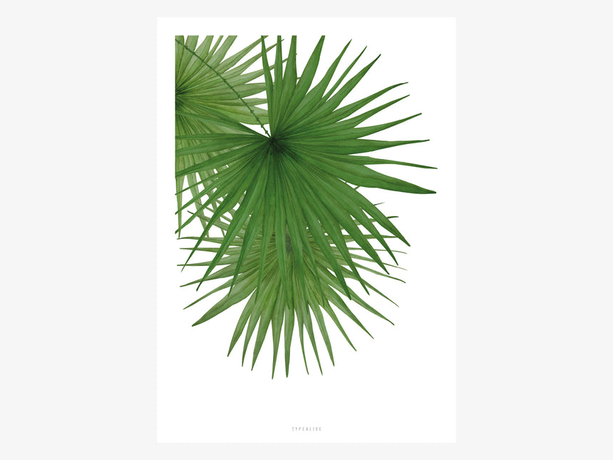 Print / Tropical No. 3