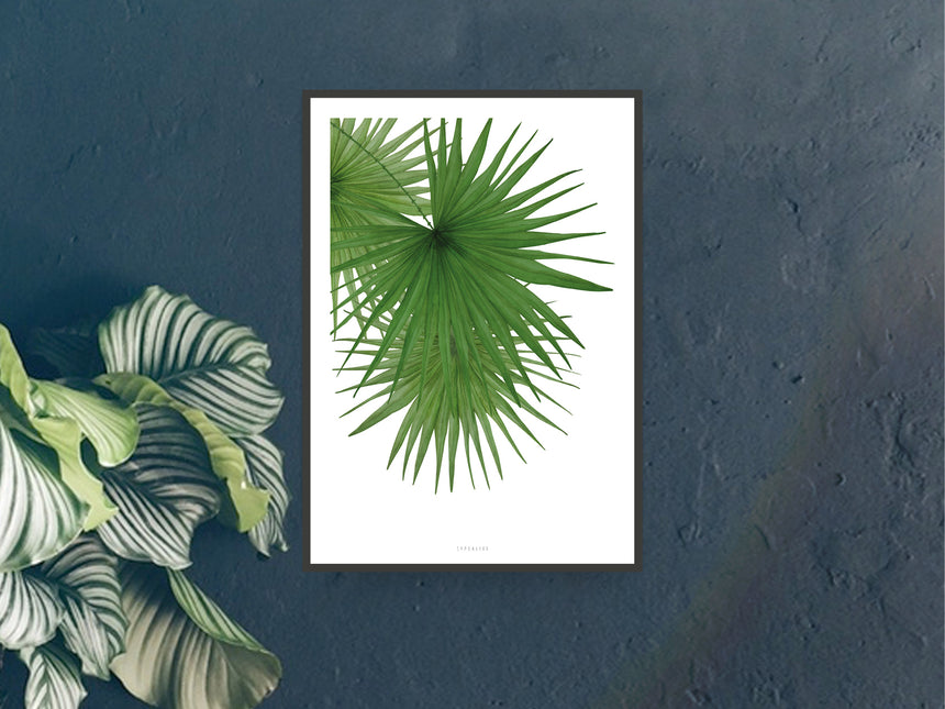 Print / Tropical No. 3