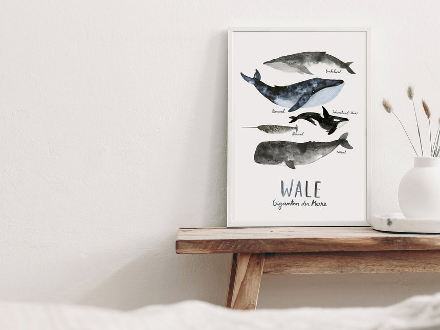 Print / Whales