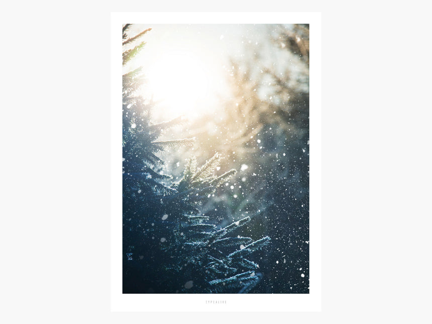 Print / Winter Day