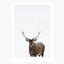 Print / Deer No. 2