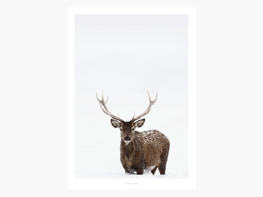 Print / Deer No. 2