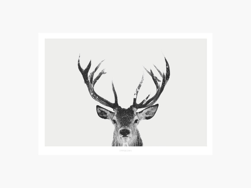 Print / Deer No. 1