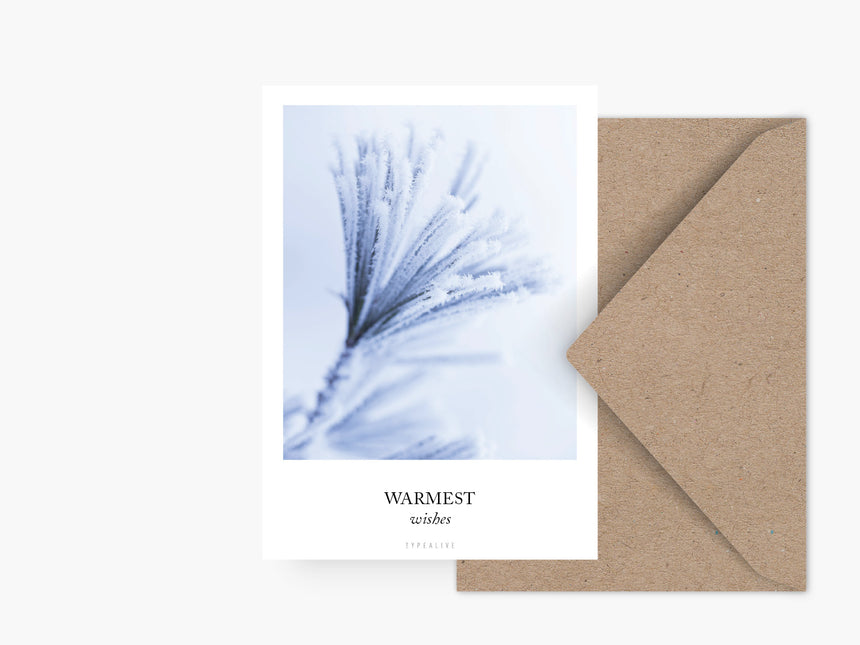 Postkarte / Frozen Plants No. 1