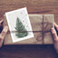 Postcard / fir tree
