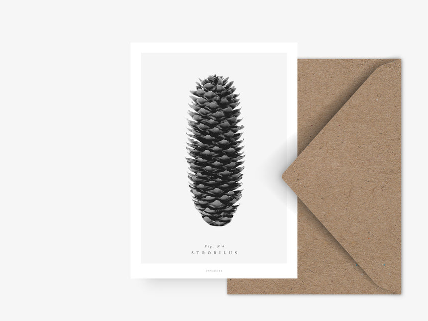 Postcard / Pine Cones No. 4