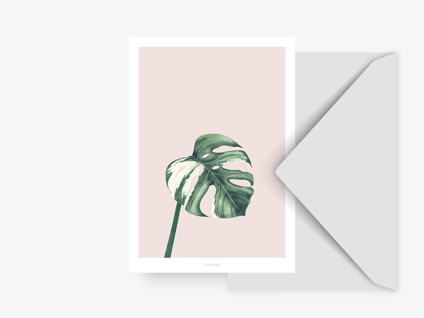 Postkarte / Tropical No. 11