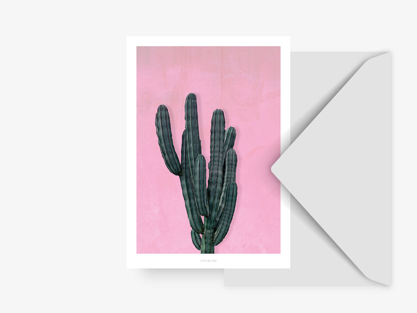 Postcard / Cactus No. 1
