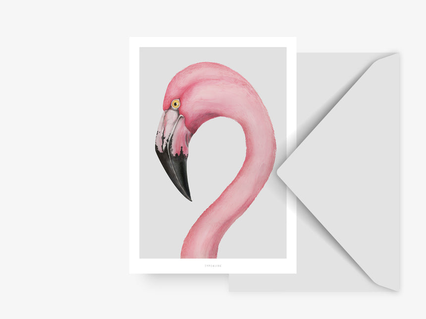 Postkarte / Flamingo