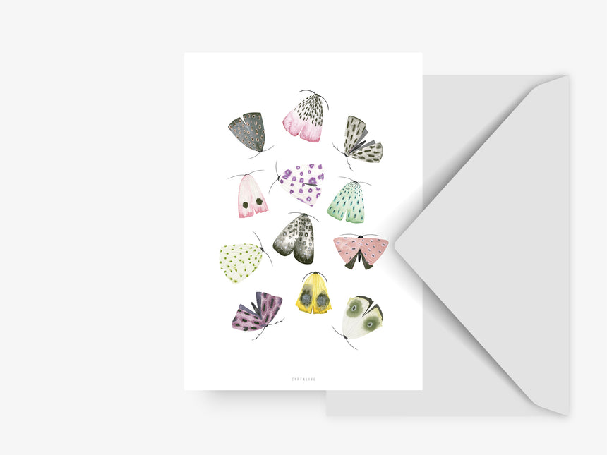 Postcard / Moths